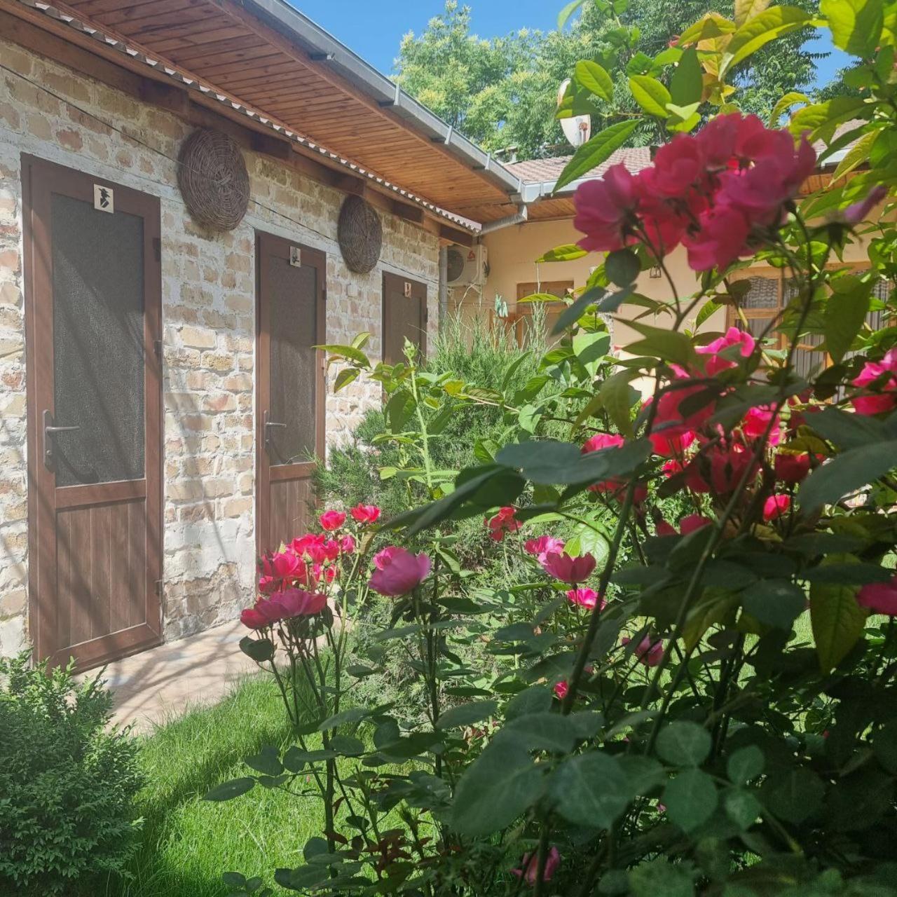 Sim-Sim Hostel & Backpackers Samarkand Bagian luar foto